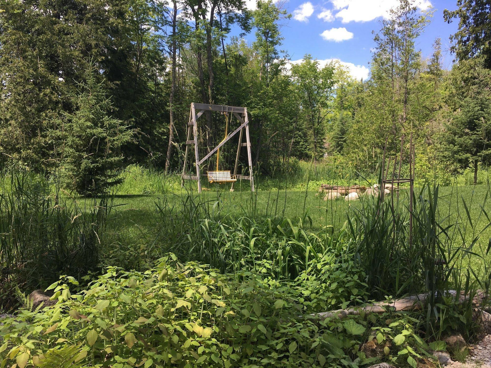 The Treehouse Bed And Breakfast Flesherton Extérieur photo